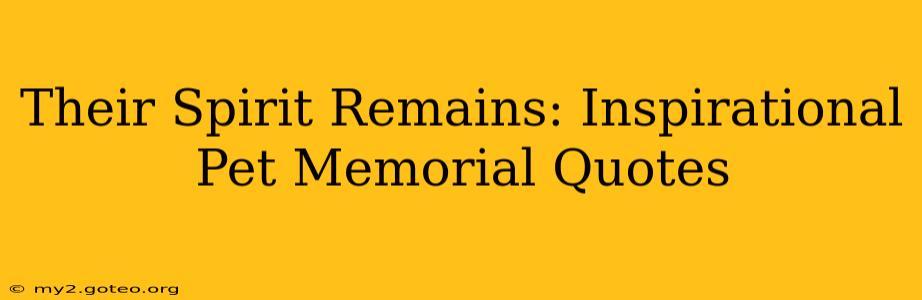 Their Spirit Remains: Inspirational Pet Memorial Quotes
