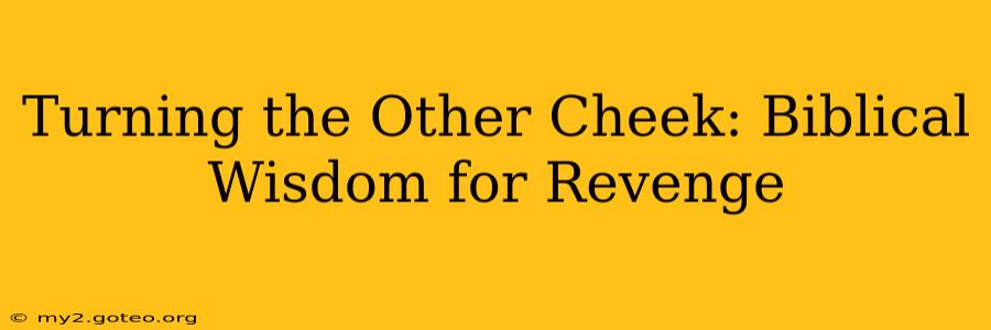 Turning the Other Cheek: Biblical Wisdom for Revenge