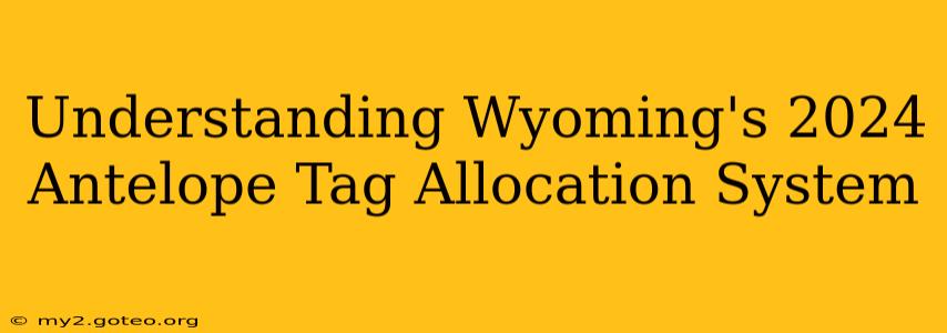 Understanding Wyoming's 2024 Antelope Tag Allocation System