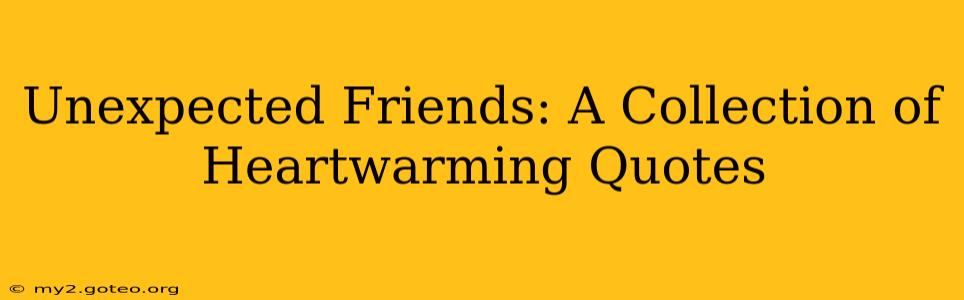 Unexpected Friends: A Collection of Heartwarming Quotes