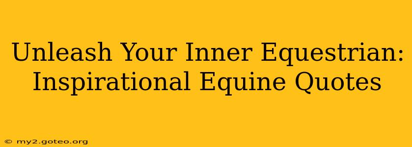 Unleash Your Inner Equestrian: Inspirational Equine Quotes