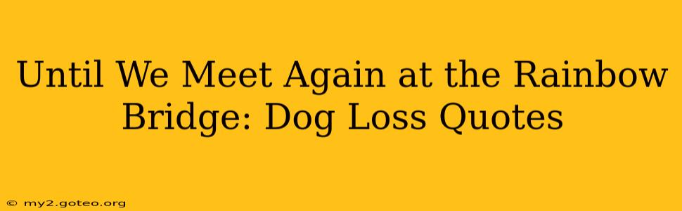 Until We Meet Again at the Rainbow Bridge: Dog Loss Quotes