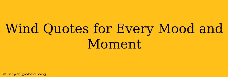 Wind Quotes for Every Mood and Moment