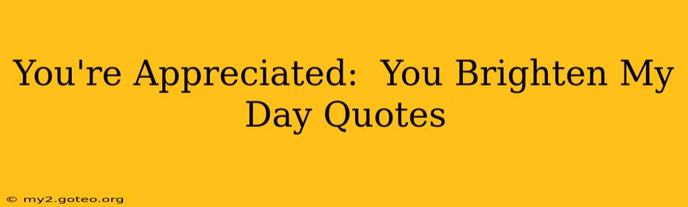 You're Appreciated:  You Brighten My Day Quotes